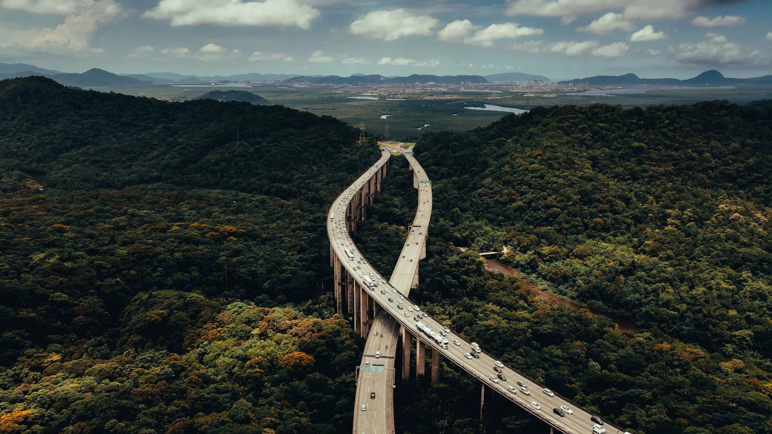 Brazilian Forest Landscape Why LatAm Background